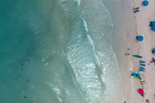 1021 Crescent St, Sarasota, FL 34242 - Photo 43