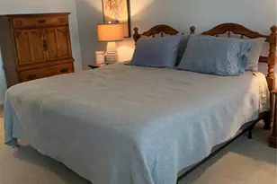 6828 Honeysuckle Trail, Lakewood Ranch, FL 34202 - Photo 25