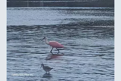 360 Gulf Of Mexico Drive #312, Longboat Key, FL 34228 - Photo 11