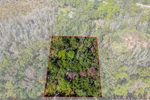 8725 Quail Run Dr, Wesley Chapel, FL 33544 - Photo 3