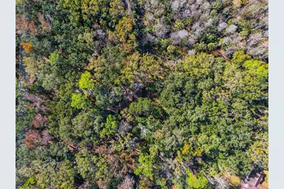 8725 Quail Run Drive, Wesley Chapel, FL 33544 - Photo 5