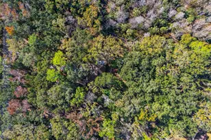 8725 Quail Run Dr, Wesley Chapel, FL 33544 - Photo 5