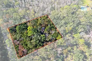 8725 Quail Run Dr, Wesley Chapel, FL 33544 - Photo 7