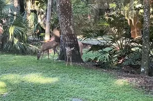 8725 Quail Run Dr, Wesley Chapel, FL 33544 - Photo 13