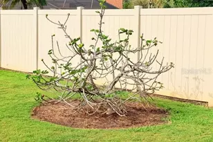 5102 19th Ave W, Bradenton, FL 34209 - Photo 65