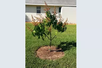 5102 19th Avenue W, Bradenton, FL 34209 - Photo 67