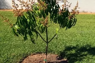 5102 19th Ave W, Bradenton, FL 34209 - Photo 67