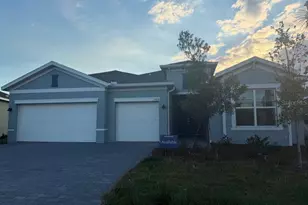 17814 Cane Patch Ct, Parrish, FL 34219 - Photo 1