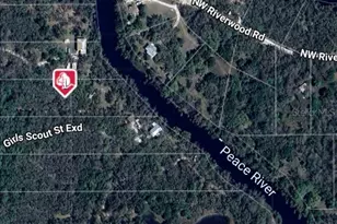 1991 NW Girl Scout Rd, Arcadia, FL 34266 - Photo 1