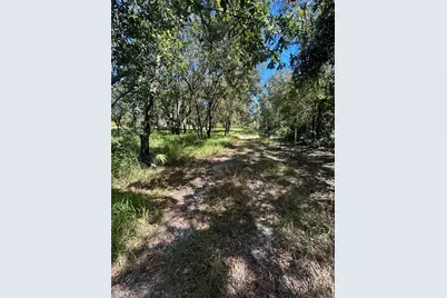 1991 NW Girl Scout Road, Arcadia, FL 34266 - Photo 3