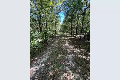 1991 NW Girl Scout Road, Arcadia, FL 34266 - Photo 5