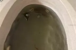 25250 E Sr 64, Myakka City, FL 34251 - Photo 27