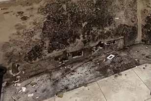 25250 E Sr 64, Myakka City, FL 34251 - Photo 13