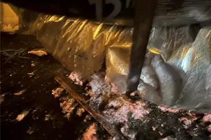 25250 E Sr 64, Myakka City, FL 34251 - Photo 3