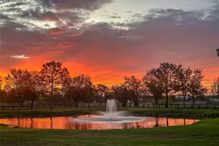 22803 67th Ave E, Bradenton, FL 34211 - Photo 7