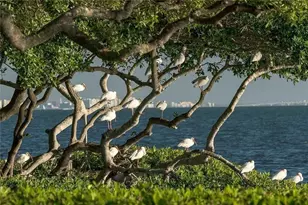 58 Tidy Island Blvd, Bradenton, FL 34210 - Photo 99