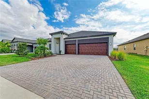 12208 Violet Jasper Dr, Parrish, FL 34219 - Photo 9