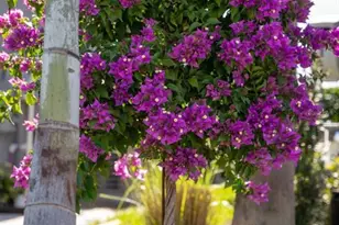 16106 Culpepper Dr, Lakewood Ranch, FL 34211 - Photo 11