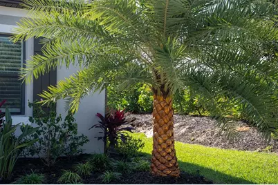 16106 Culpepper Drive, Lakewood Ranch, FL 34211 - Photo 7