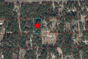 NE 118th Ln, Bronson, FL 32621 - Photo 1