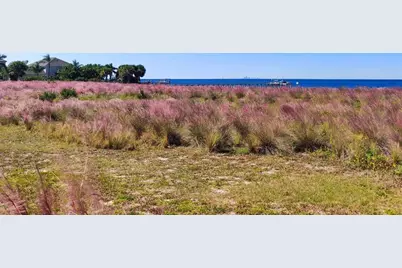 5213 Moon Shell Drive, Apollo Beach, FL 33572 - Photo 59