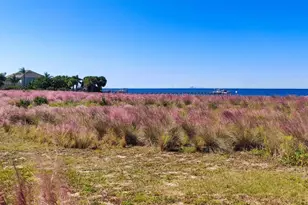 5213 Moon Shell Dr, Apollo Beach, FL 33572 - Photo 59