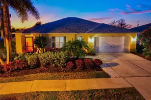 5213 Moon Shell Dr, Apollo Beach, FL 33572 - Photo 1