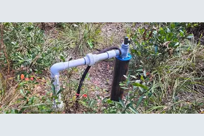 Se 68th Terrace, White Springs, FL 32096 - Photo 5