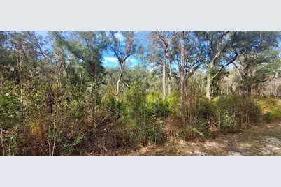 Se 68th Terrace, White Springs, FL 32096 - Photo 9