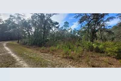 Se 68th Terrace, White Springs, FL 32096 - Photo 3