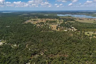 12615 River Rd, Myakka City, FL 34251 - Photo 85