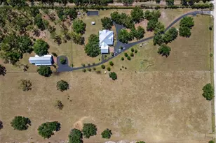 12615 River Rd, Myakka City, FL 34251 - Photo 3