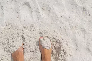 13825 Bilsdale Ct, Myakka City, FL 34251 - Photo 19