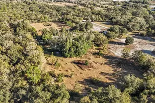 1211 NW Eucalyptus Ave, Arcadia, FL 34266 - Photo 23