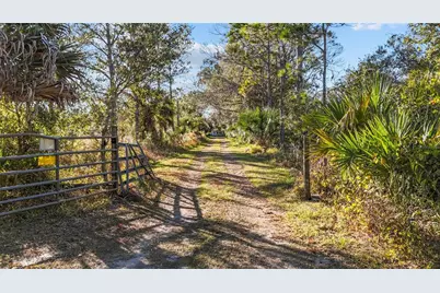 1211 NW Eucalyptus Avenue, Arcadia, FL 34266 - Photo 27