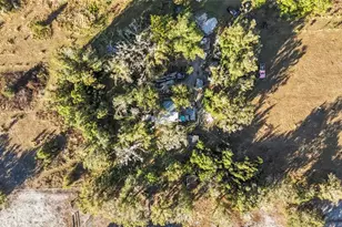 1211 NW Eucalyptus Ave, Arcadia, FL 34266 - Photo 25