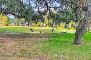 4683 Oak Hollow Dr, Sarasota, FL 34241 - Photo 43