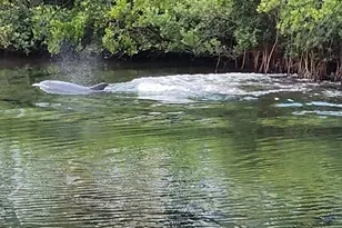 464 Bahia Beach Blvd, Ruskin, FL 33570 - Photo 21