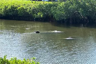 464 Bahia Beach Blvd, Ruskin, FL 33570 - Photo 25