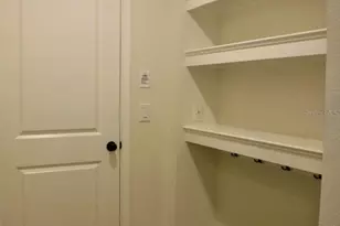 11634 Cambium Crown Dr, Riverview, FL 33569 - Photo 23