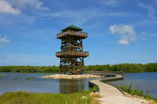 12313 Baypointe Terrace, Cortez, FL 34215 - Photo 61