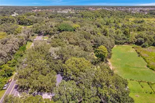 7405 Williams Rd, Seffner, FL 33584 - Photo 99