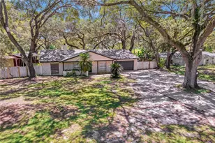 7405 Williams Rd, Seffner, FL 33584 - Photo 97