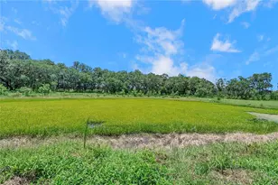 7405 Williams Rd, Seffner, FL 33584 - Photo 67