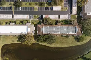 118 Lakeview Way, Oldsmar, FL 34677 - Photo 41