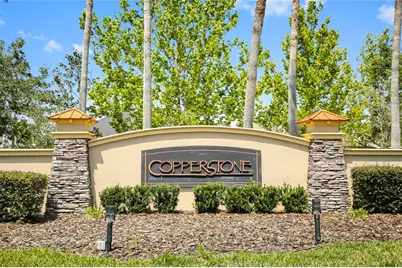 7817 112th Avenue E, Parrish, FL 34219 - Photo 45