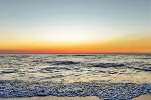 1001 Benjamin Franklin Dr, Sarasota, FL 34236 - Photo 69