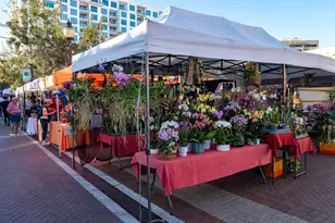 516 Laurel Pk Dr, Sarasota, FL 34236 - Photo 61