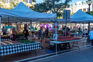 516 Laurel Pk Dr, Sarasota, FL 34236 - Photo 59