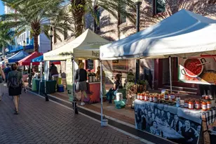 516 Laurel Pk Dr, Sarasota, FL 34236 - Photo 61